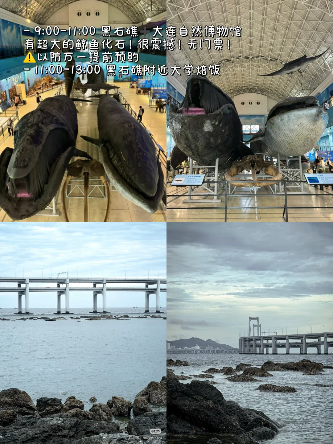 对自己做的大连5日攻略🐳满意到睡不着！