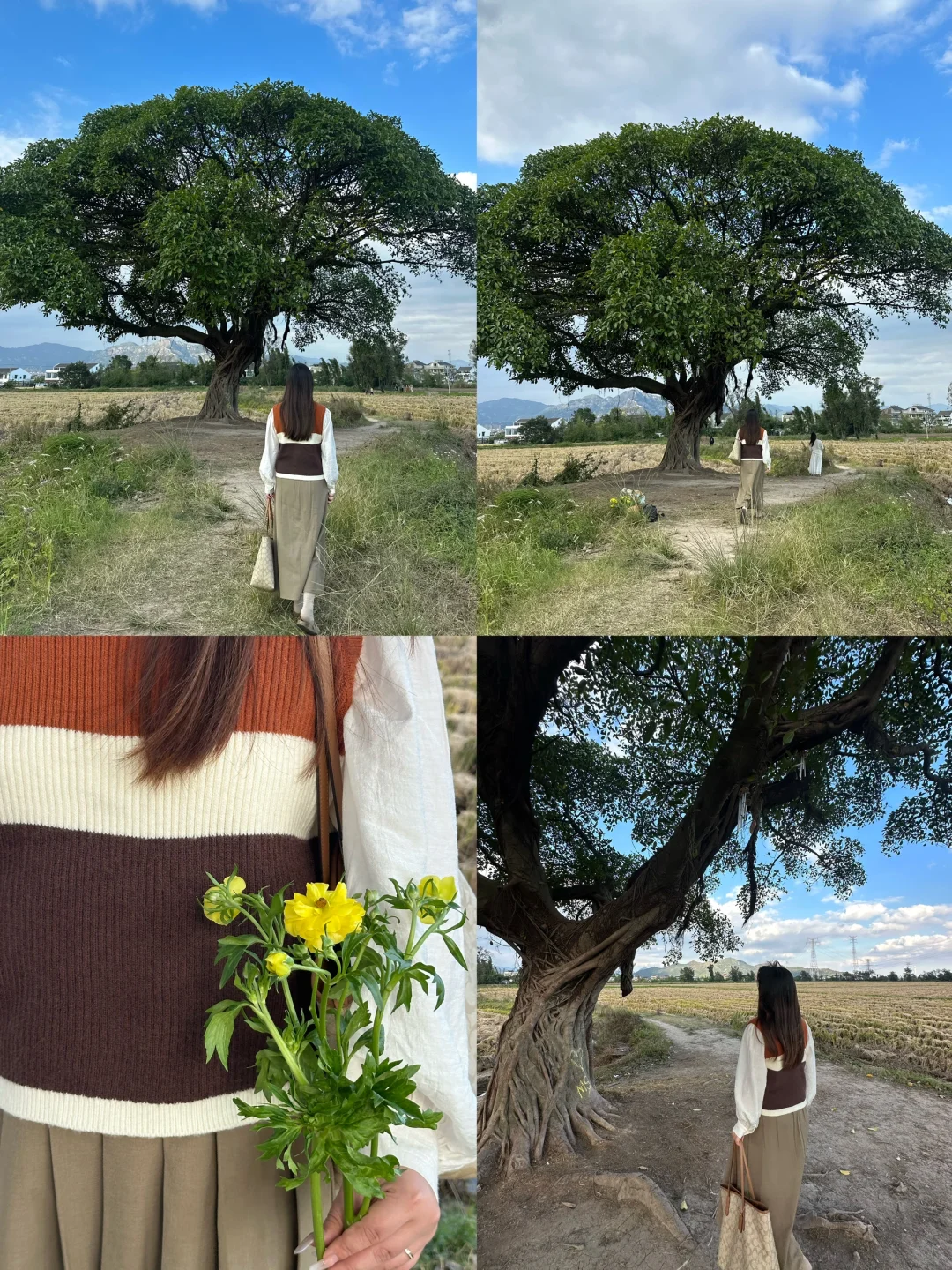 分享在温州不花钱的快乐！！1️⃣8️⃣个小众景点