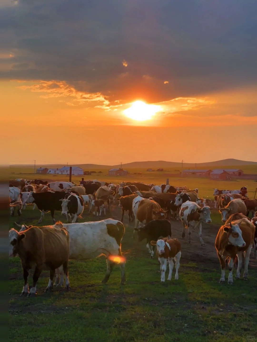 朋友圈被问疯了.不是瑞士新西兰❗在我大内蒙