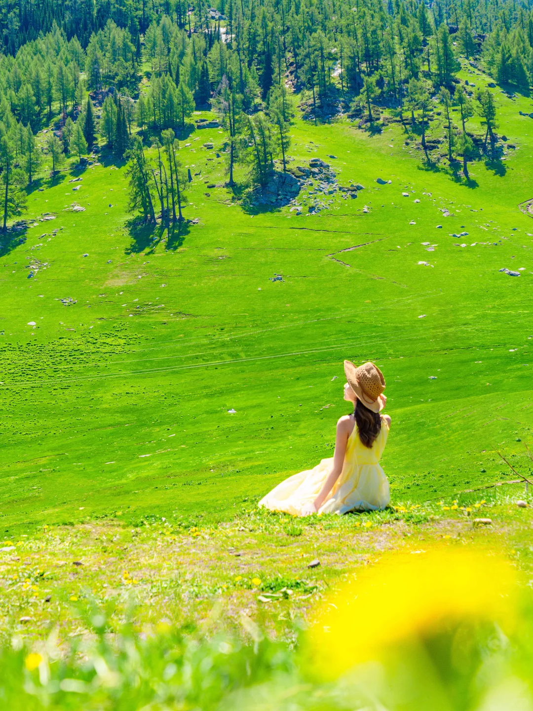 总要去一次新疆，看一次梦中的阿勒泰吧！！