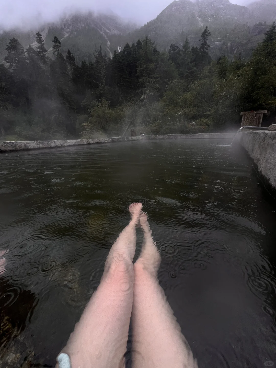 月亮湖泡野温泉捡菌子