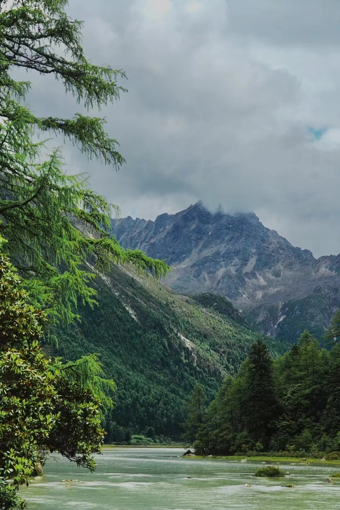 月亮湖泡野温泉捡菌子