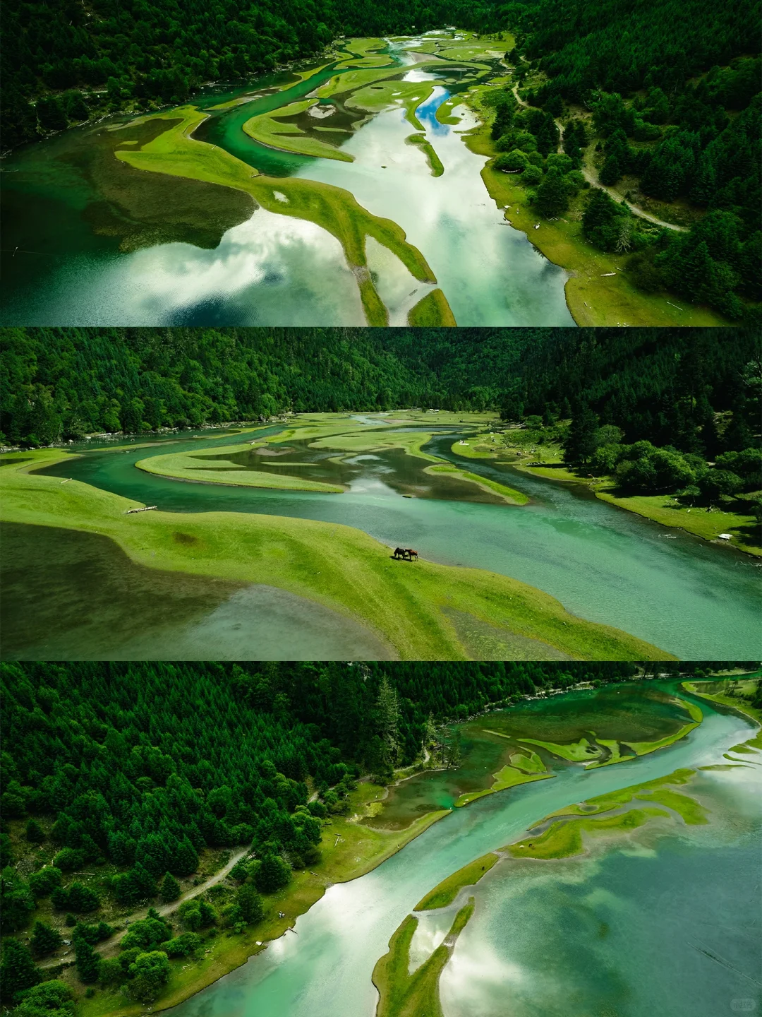 以为九寨沟够美了“直到来了这个小众🌙秘境”