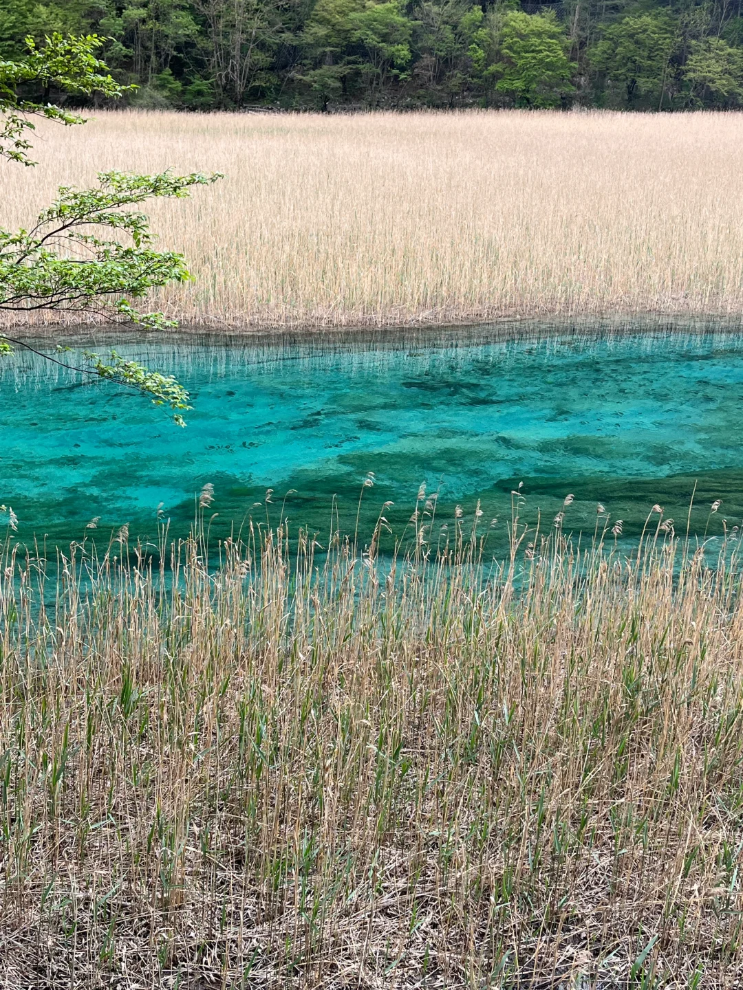 无锡-九寨沟2天攻略｜5.3体验感很好