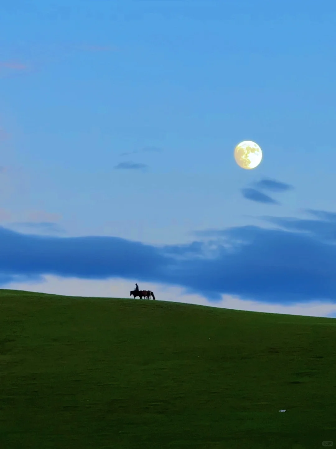 为了这18张live图!我飞到了内蒙古!值得吗?