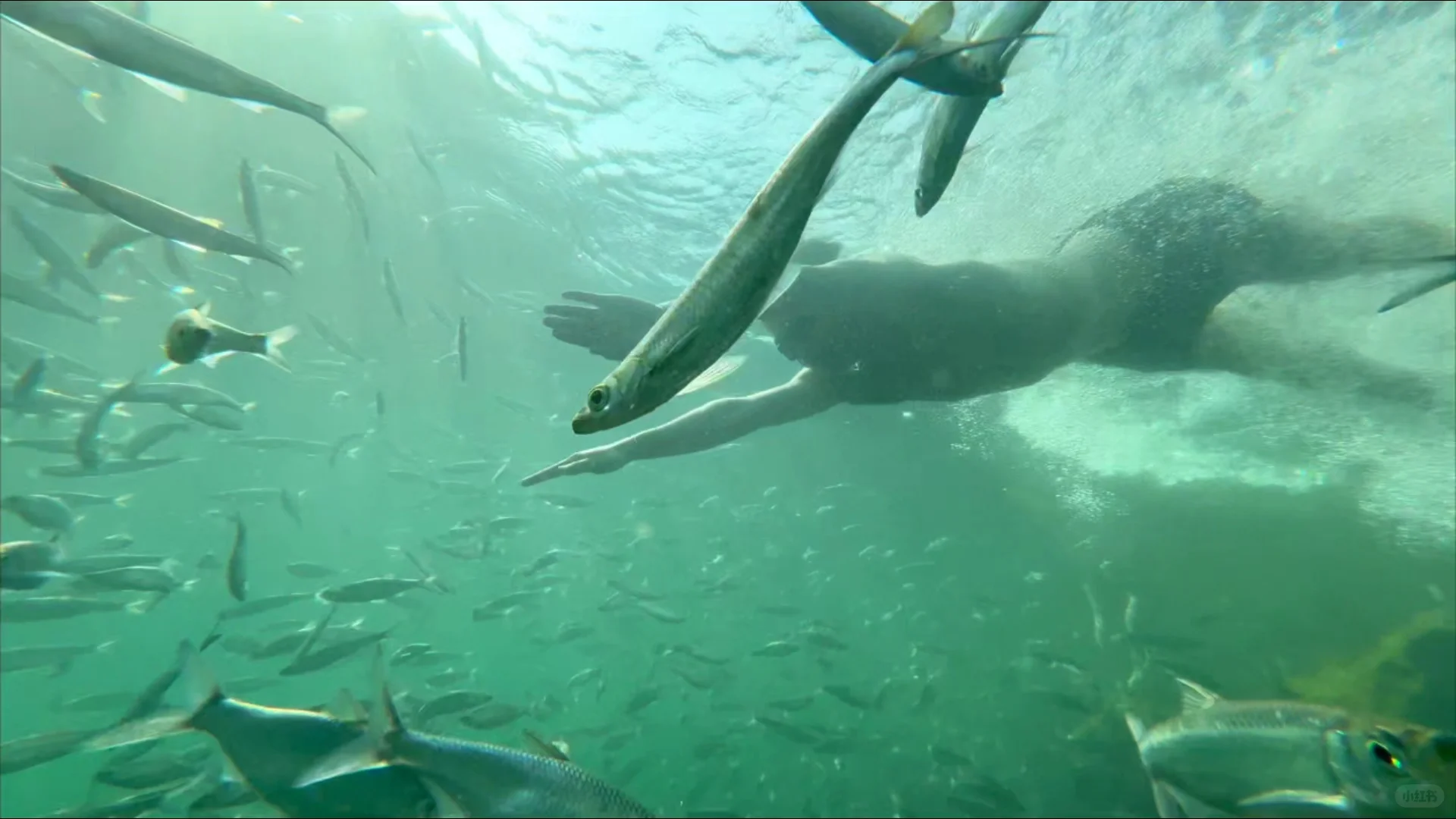 这个小众神仙小县城,让我特地去了两趟广西