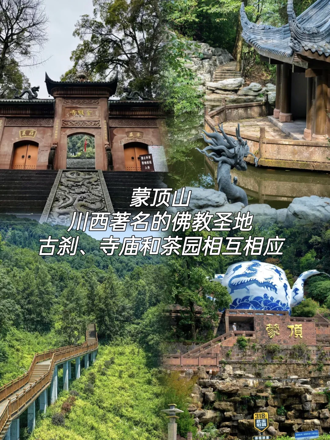 雅安必打卡景点|超全打卡攻略