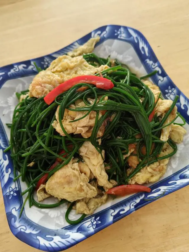 标题：张掖必玩景点+美食攻略，一文讲全✨