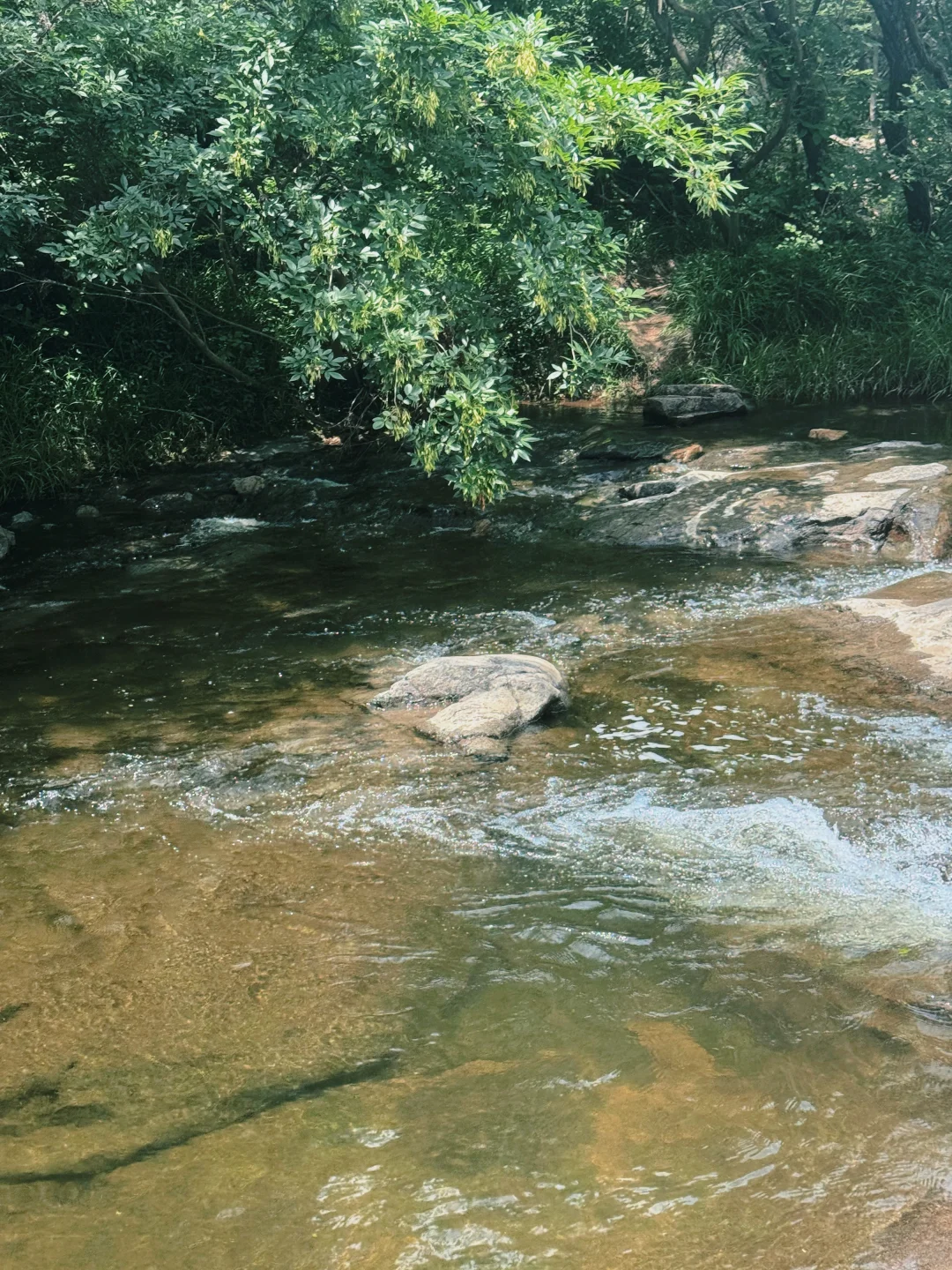 武汉驱车2小时,可徒步可玩水,两不耽误🤩