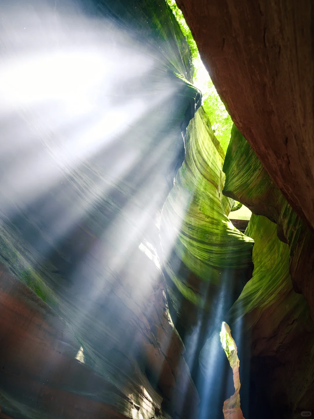 国内羚羊谷❗️为了这组照片我特意飞了趟陕西
