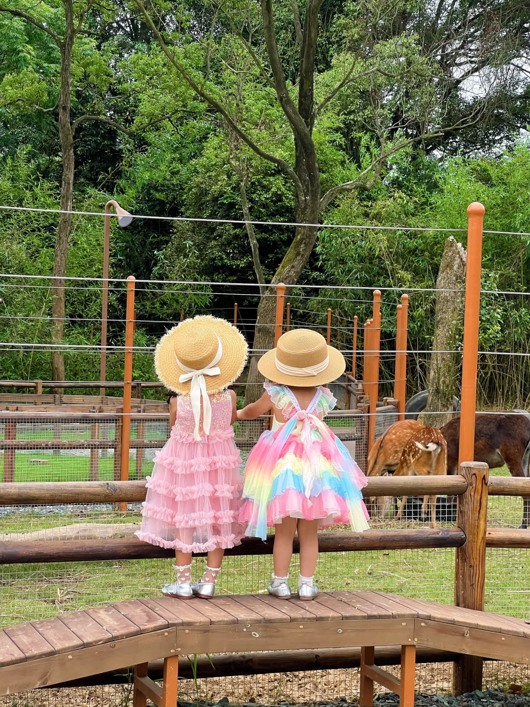 亲子暑假游｜自驾3h🚗闯进森林木屋童话王国