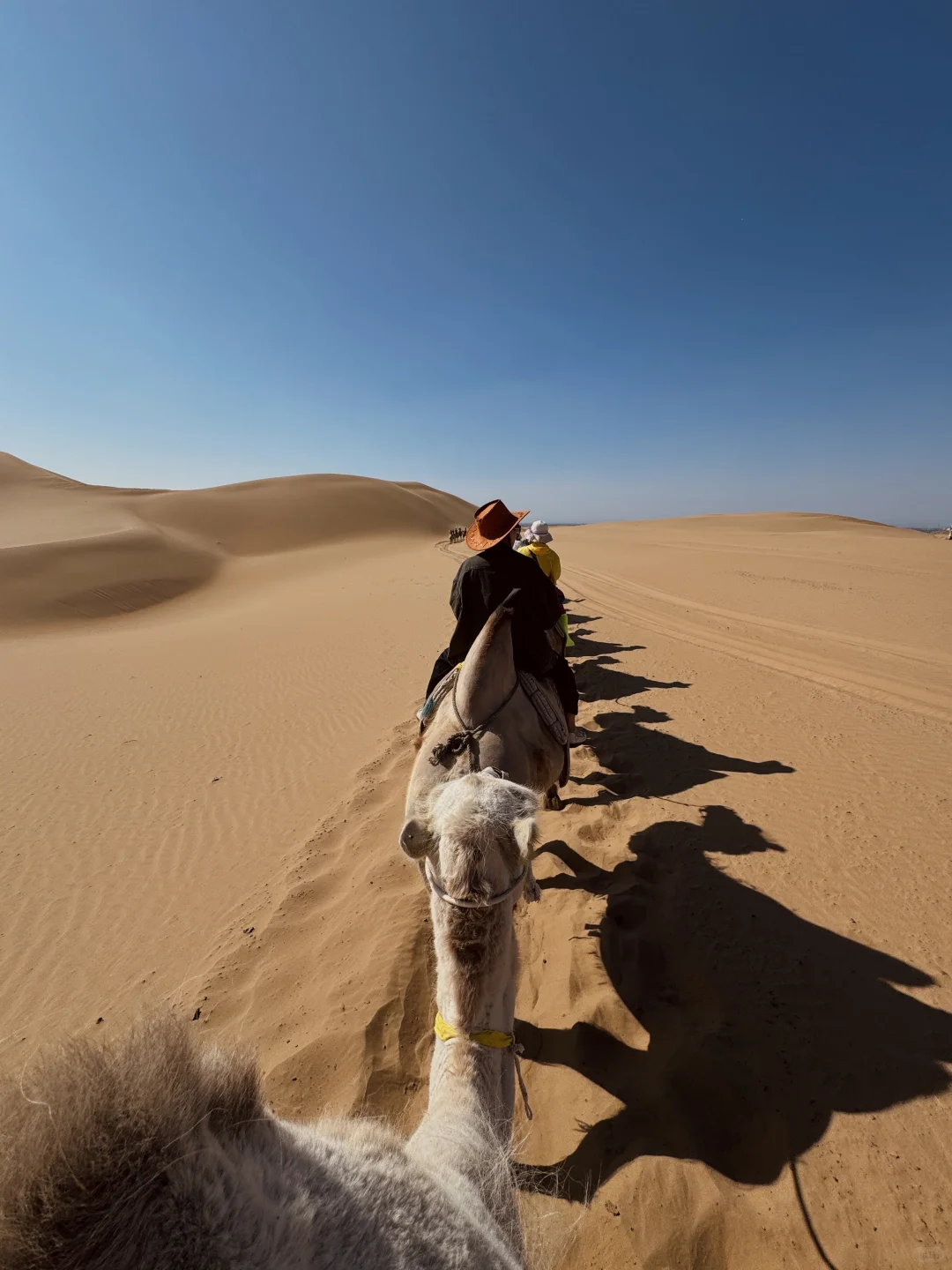 我很少用“震撼”形容一个地方！😳