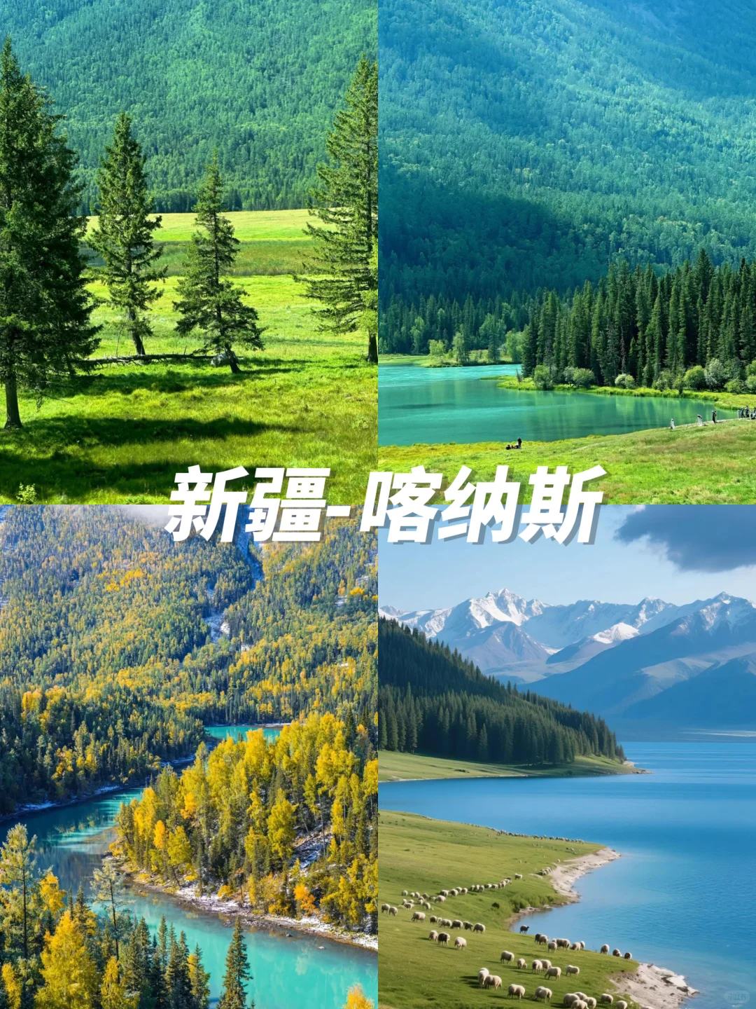 不想暴晒❗6-8月必去的10个国内小众旅行✈️