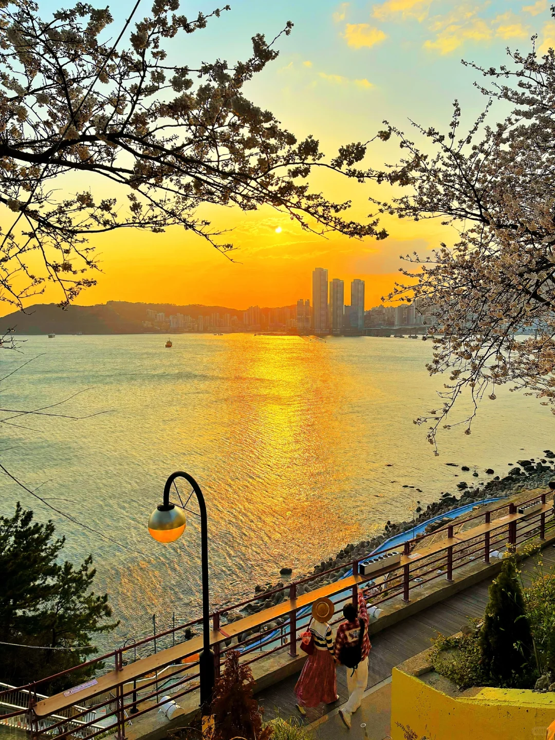 如果你是第一次来釜山,直接复制这条路线‼️