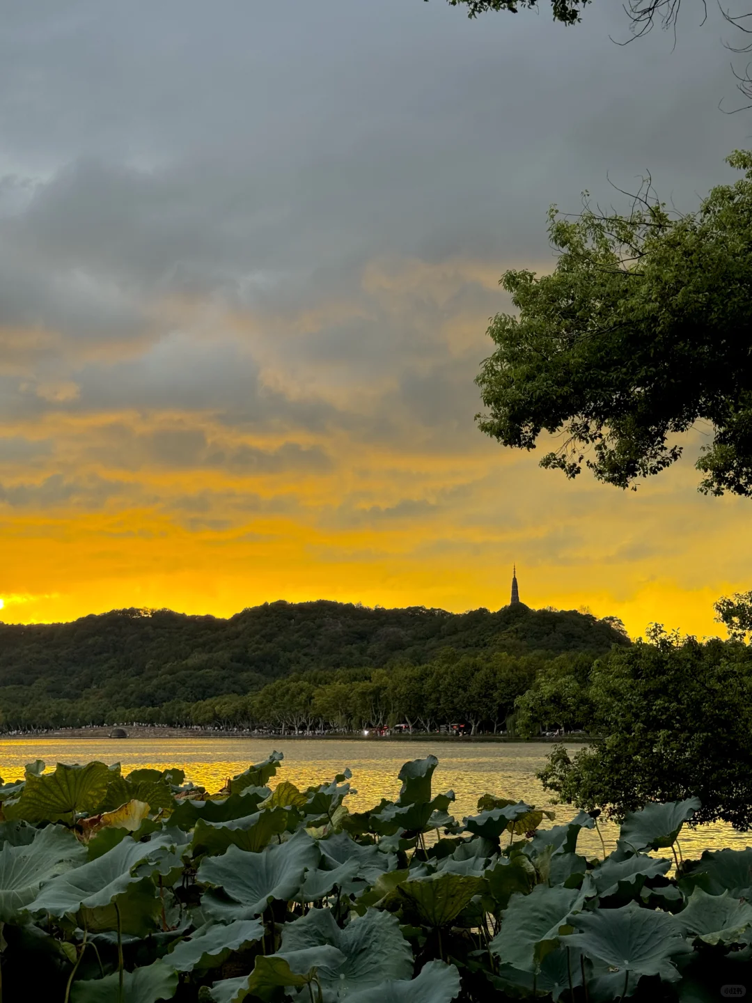 11天4城，2248元！适合女生独自旅行的线路