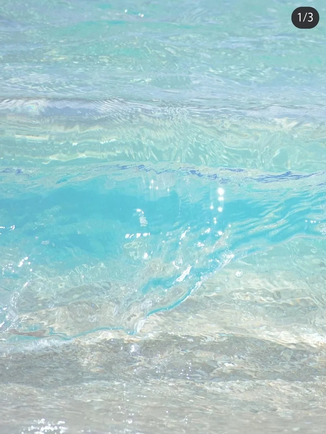 求求了🙏国内有这种果冻海吗，好想去看看