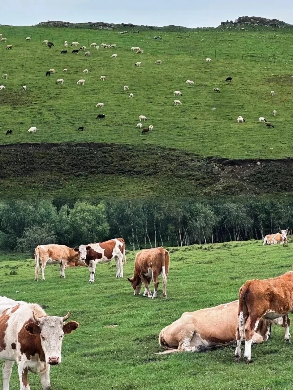 🌄赤峰旅游打卡地