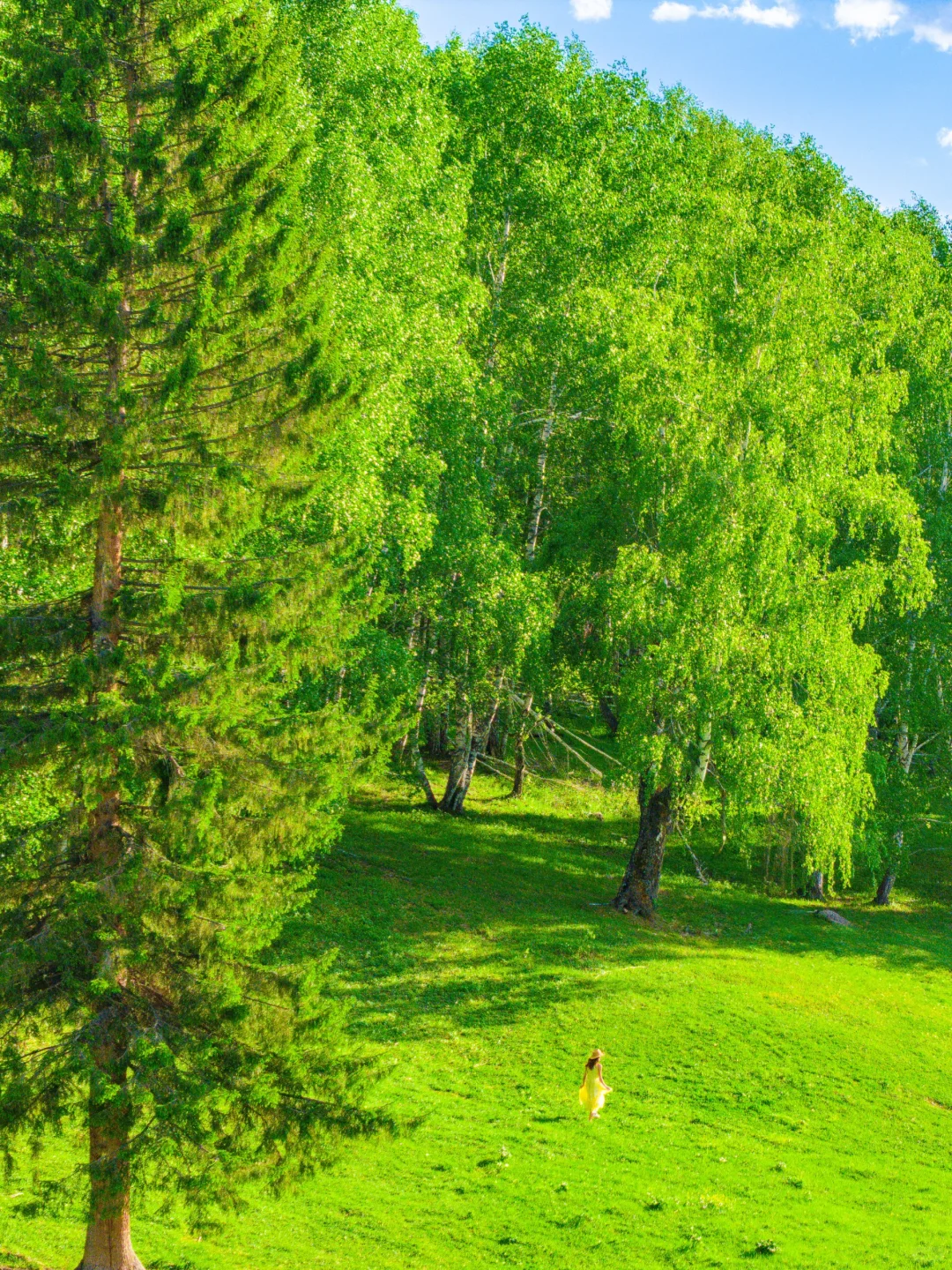 总要去一次新疆，看一次梦中的阿勒泰吧！！