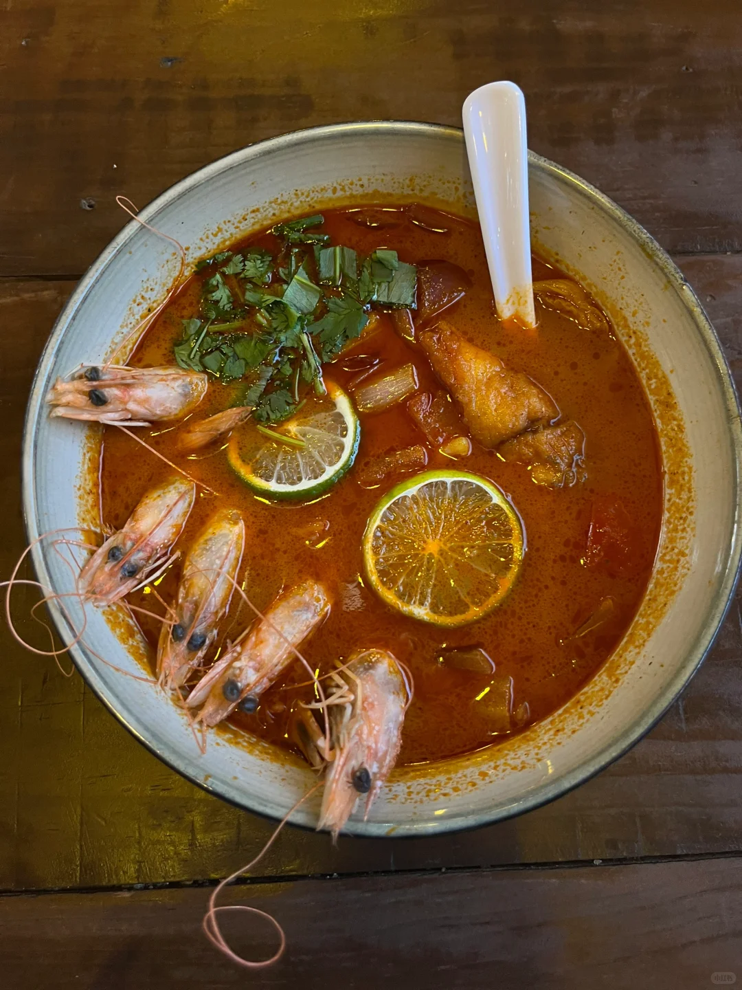 西双版纳 | 度假plog🌴