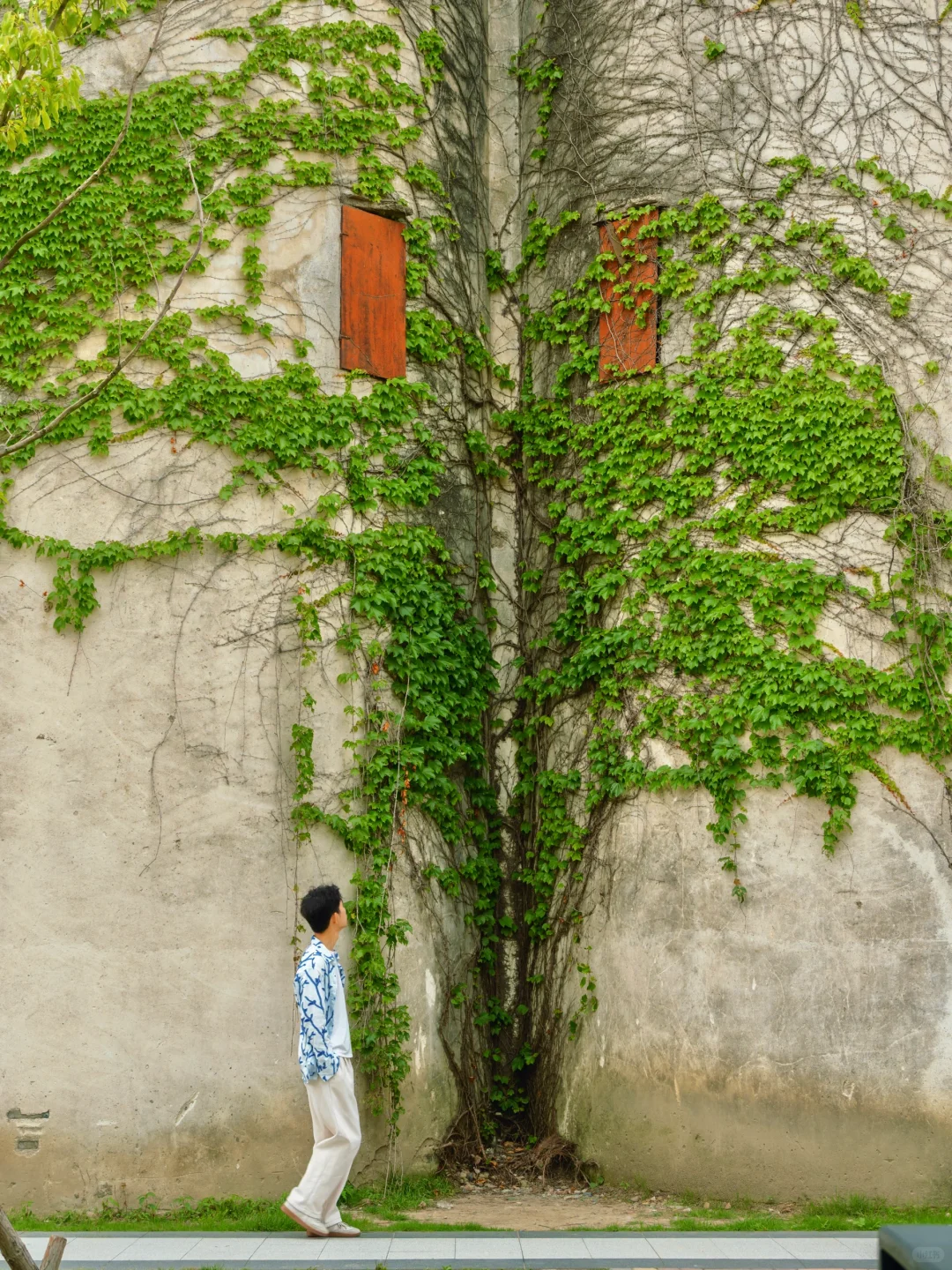 余华没骗我，这是江浙沪最治愈的海边小城