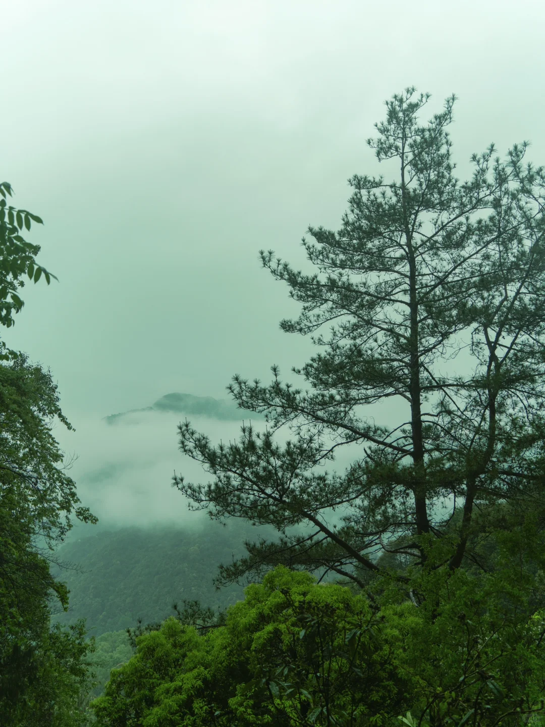 富春山居⛰跟我空山新雨寻自由🚶🏻