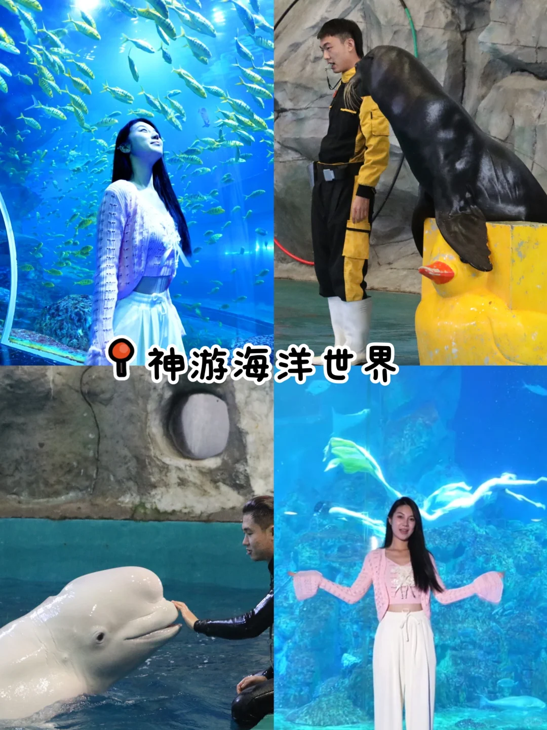 威海这个景区太宝藏！国风+刺激+治愈全拿捏