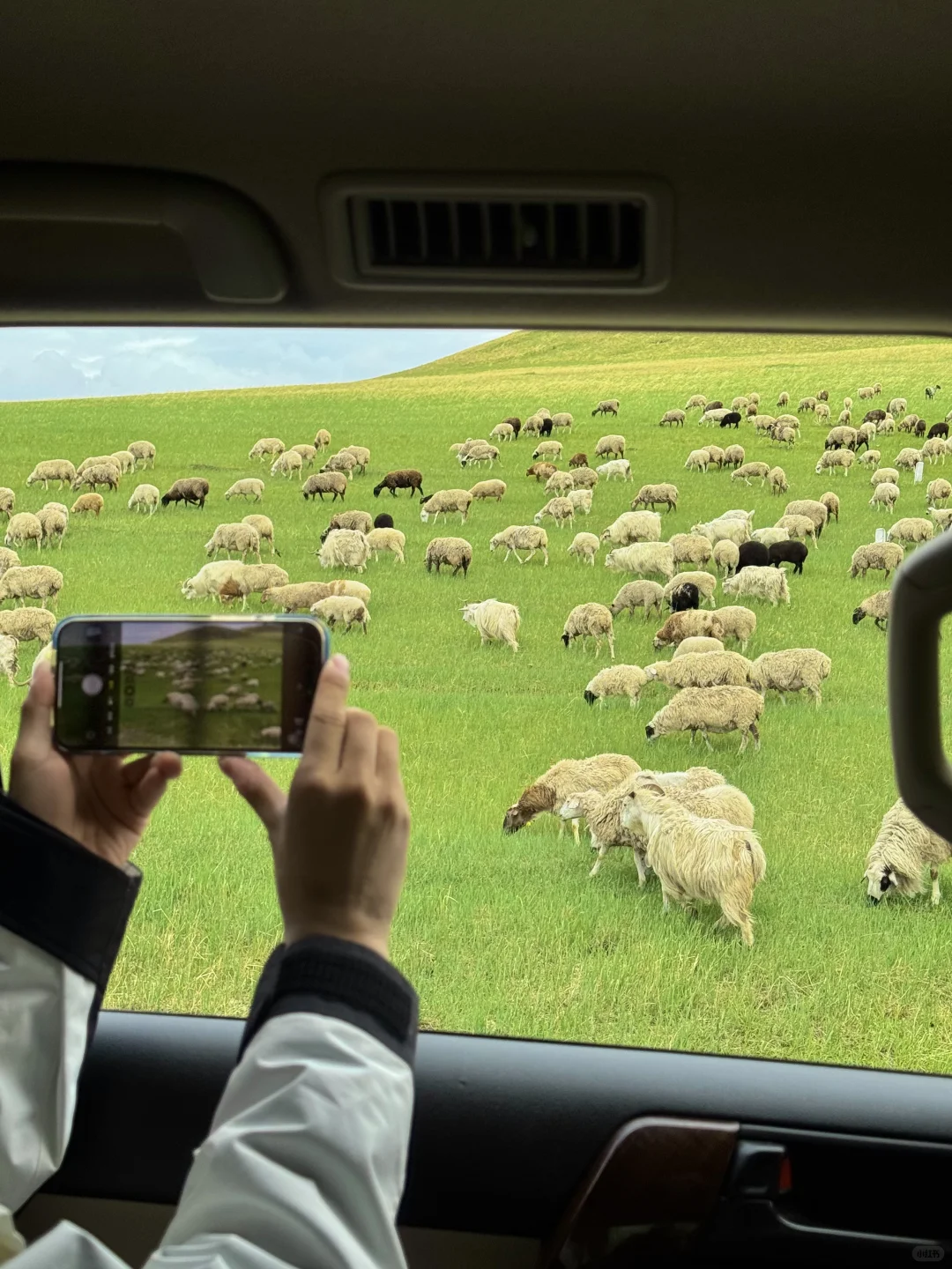 以为新疆够美了，直到我去了呼伦贝尔…