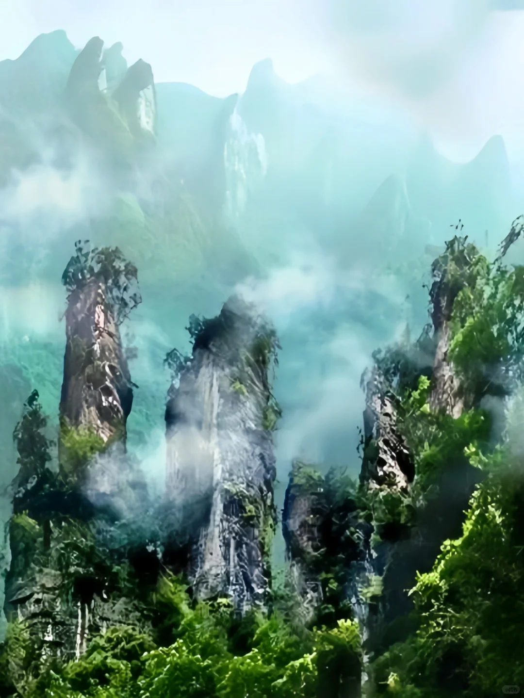 这确定不是仙境？