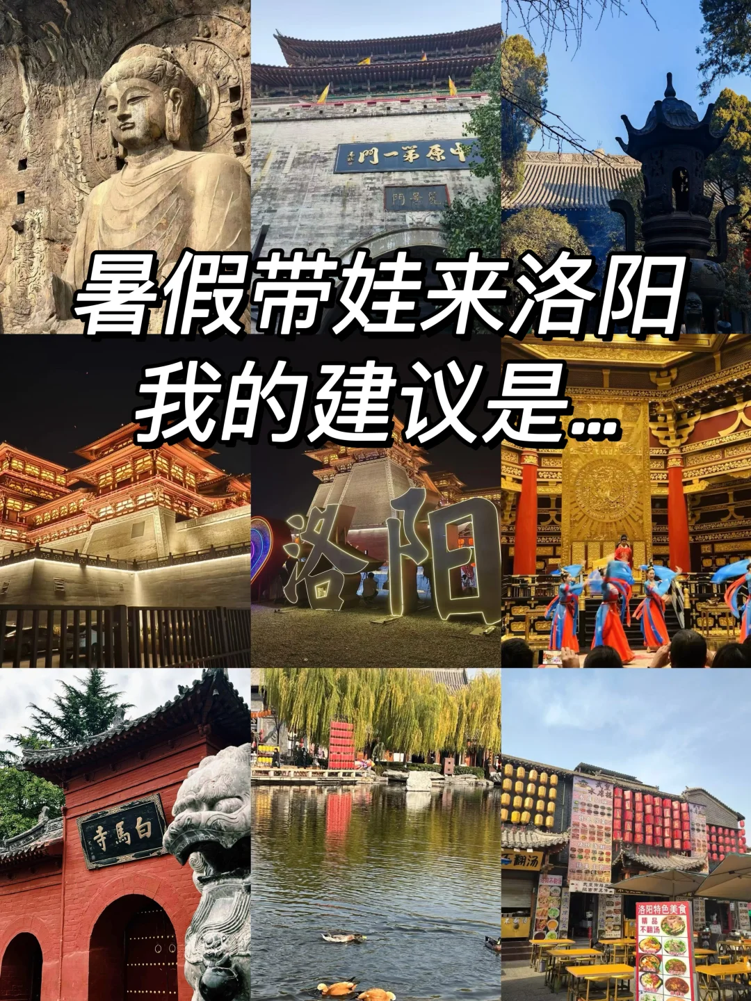 洛阳三天两夜游❗️别白跑本地人带你这么玩