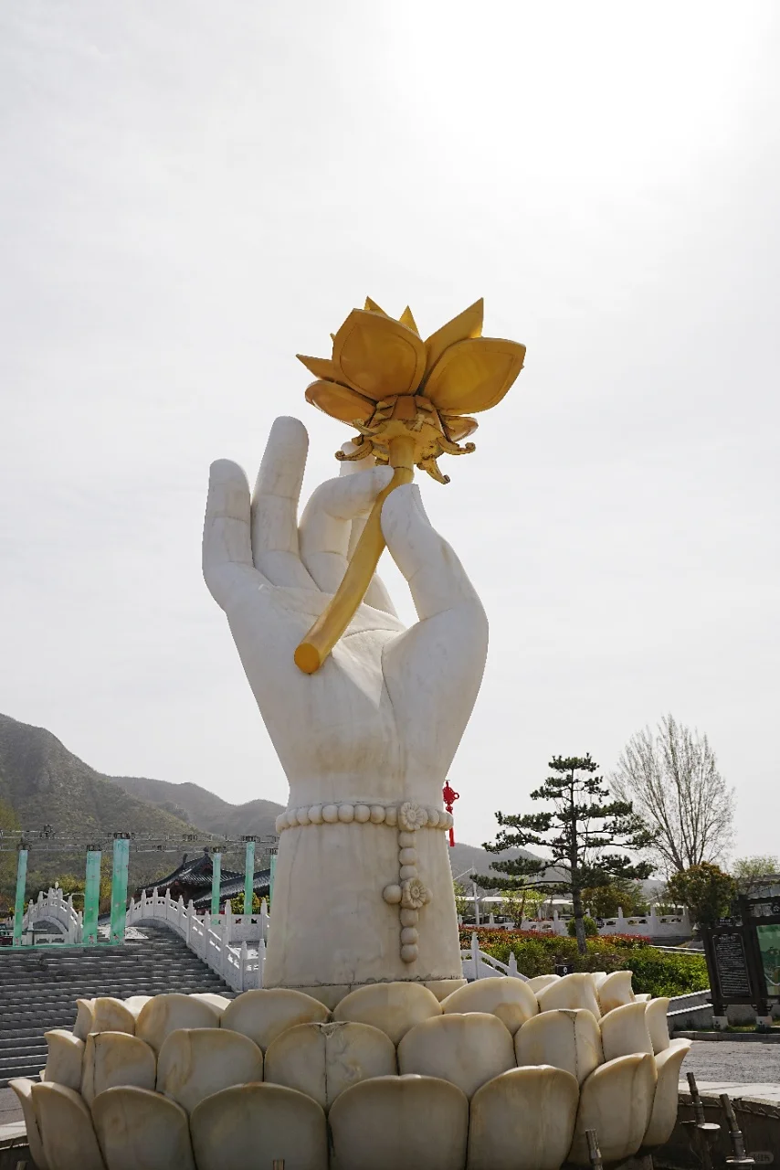 邯郸必打卡！承包你的朋友圈C位