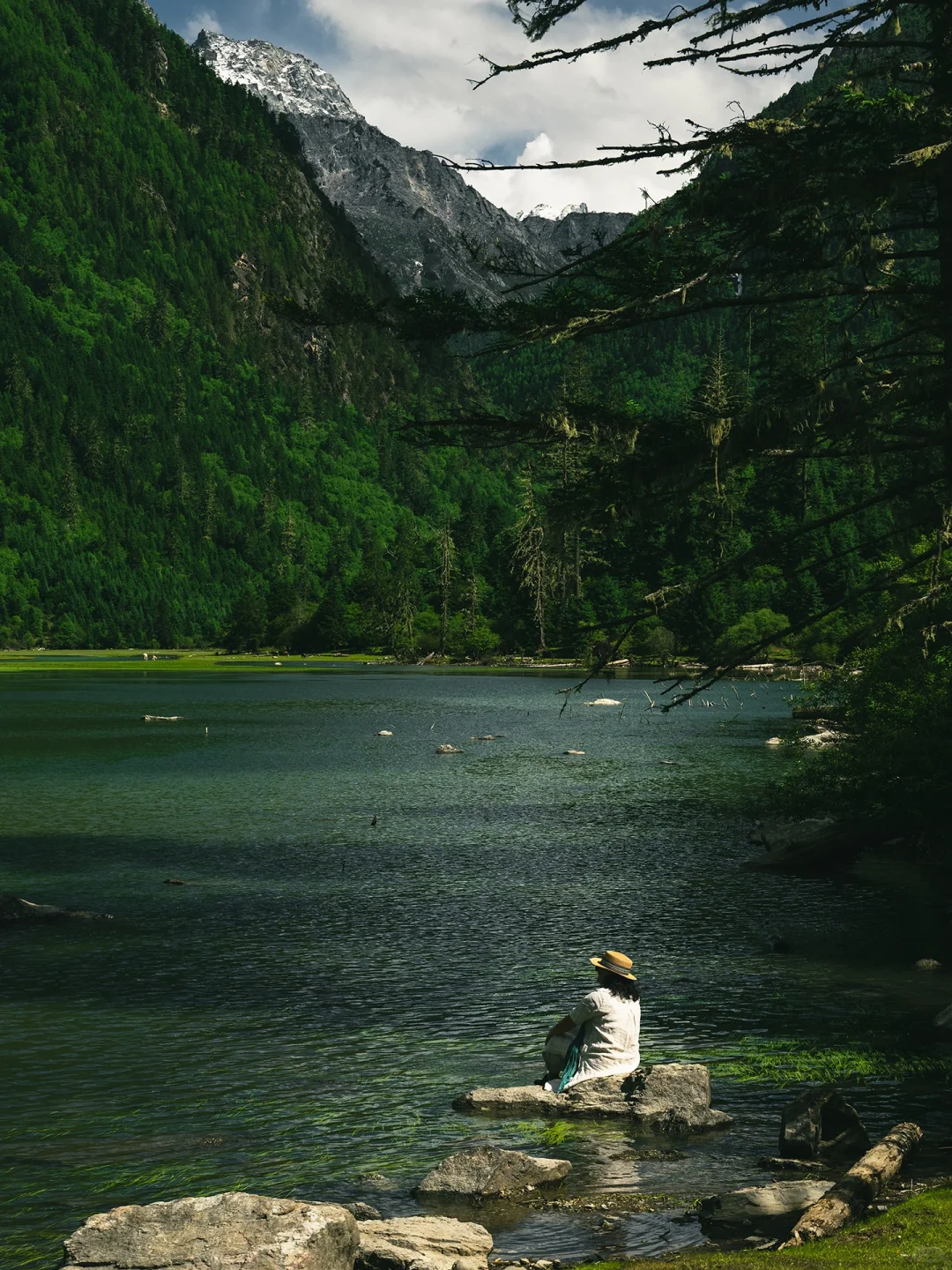 以为九寨沟够美了“直到来了这个小众🌙秘境”