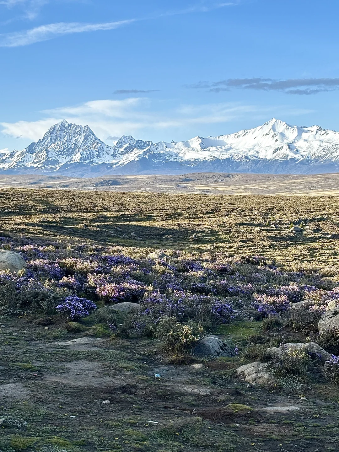 川西的夏天根本不用滤镜……美哭了😭！！附攻略
