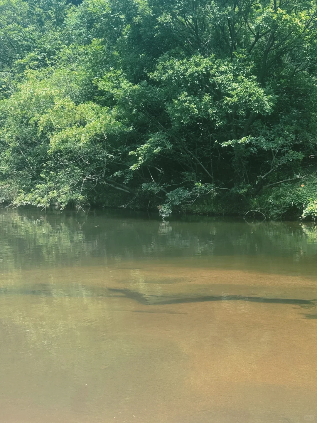 武汉驱车2小时,可徒步可玩水,两不耽误🤩