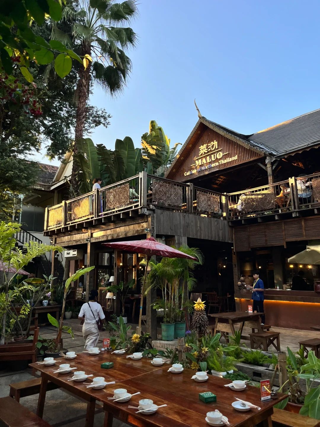 西双版纳 | 度假plog🌴