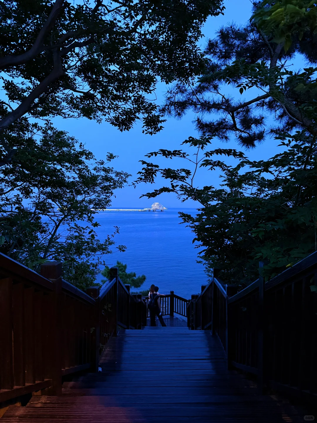 烟台旅游刚回！哭着发出18张live图😭