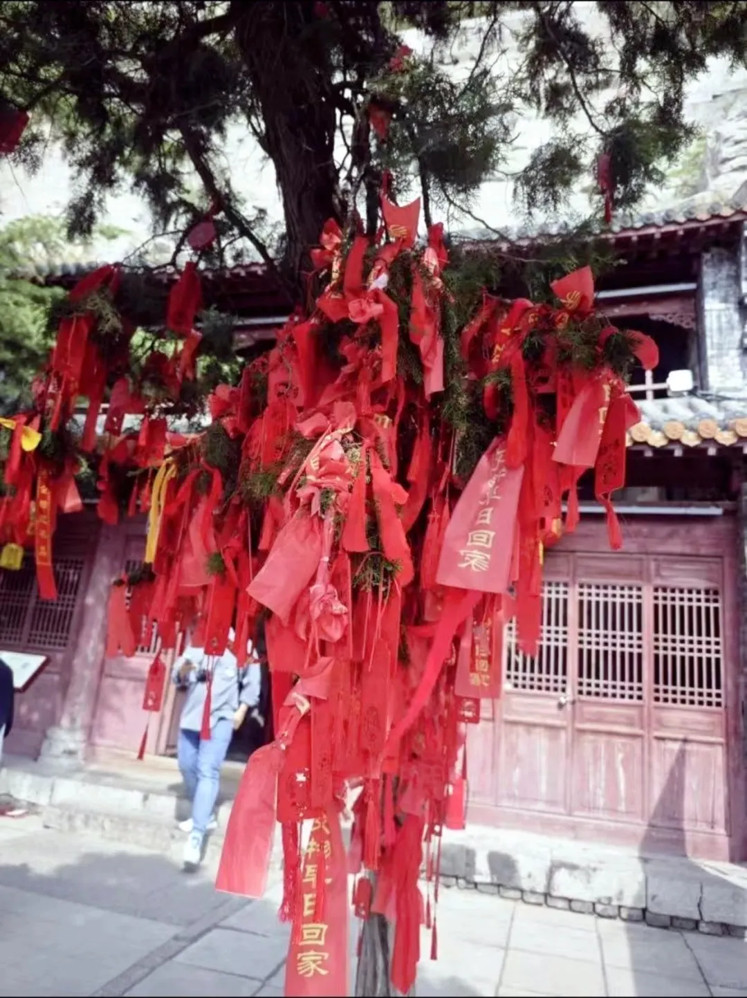 🚀特种兵五一必冲！邯郸三日暴走！