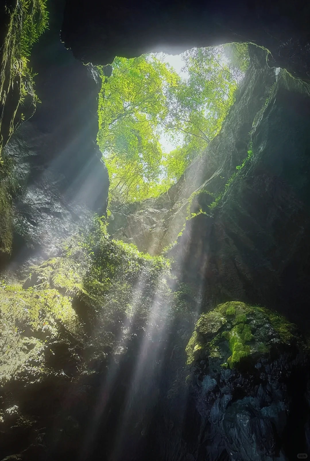 仙桥洞：看一场“人山人海”的绿野迷雾森林🌳