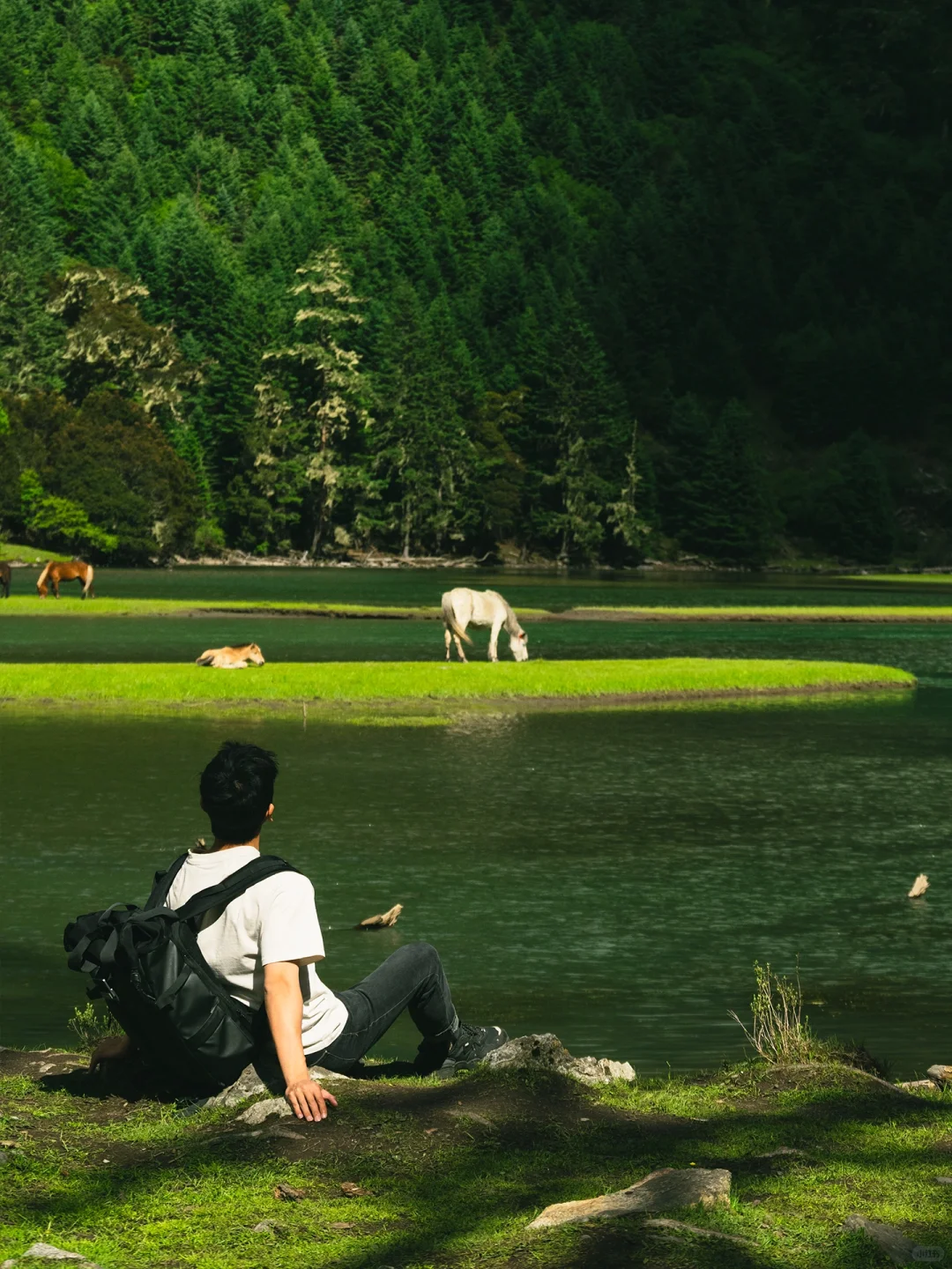 以为九寨沟够美了“直到来了这个小众🌙秘境”