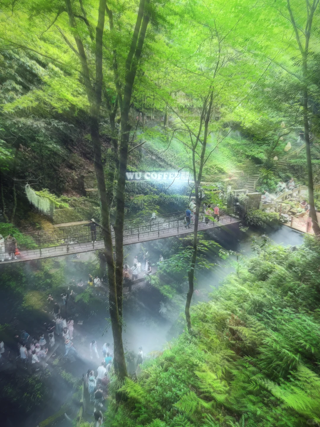 仙桥洞：看一场“人山人海”的绿野迷雾森林🌳
