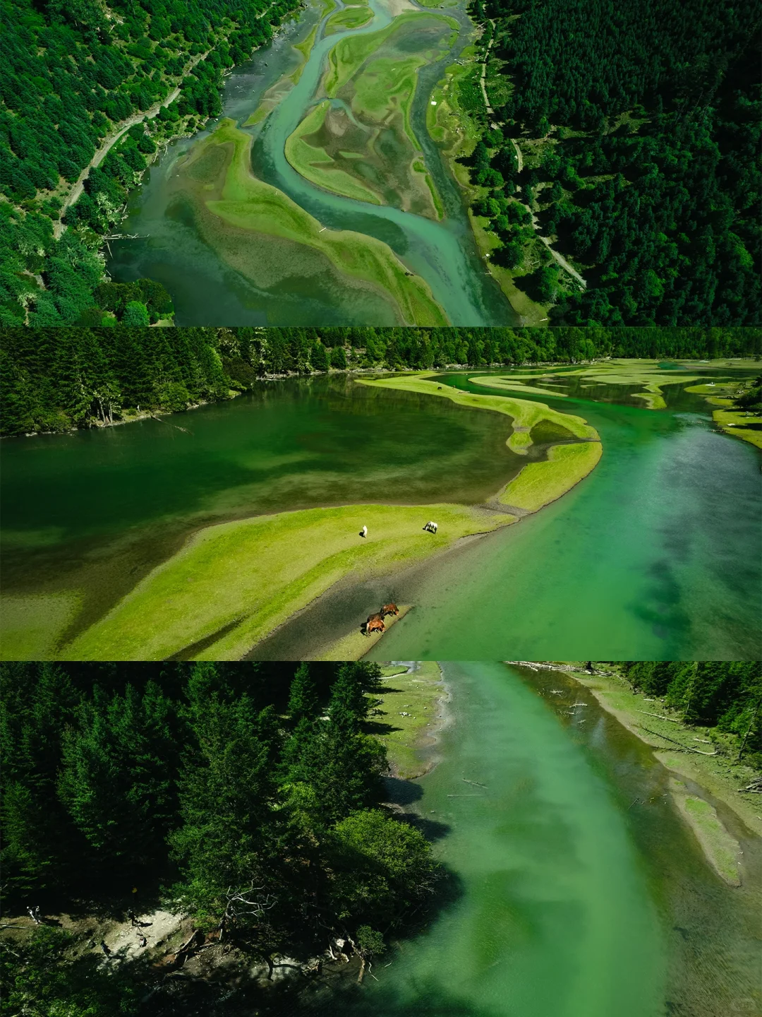 以为九寨沟够美了“直到来了这个小众🌙秘境”