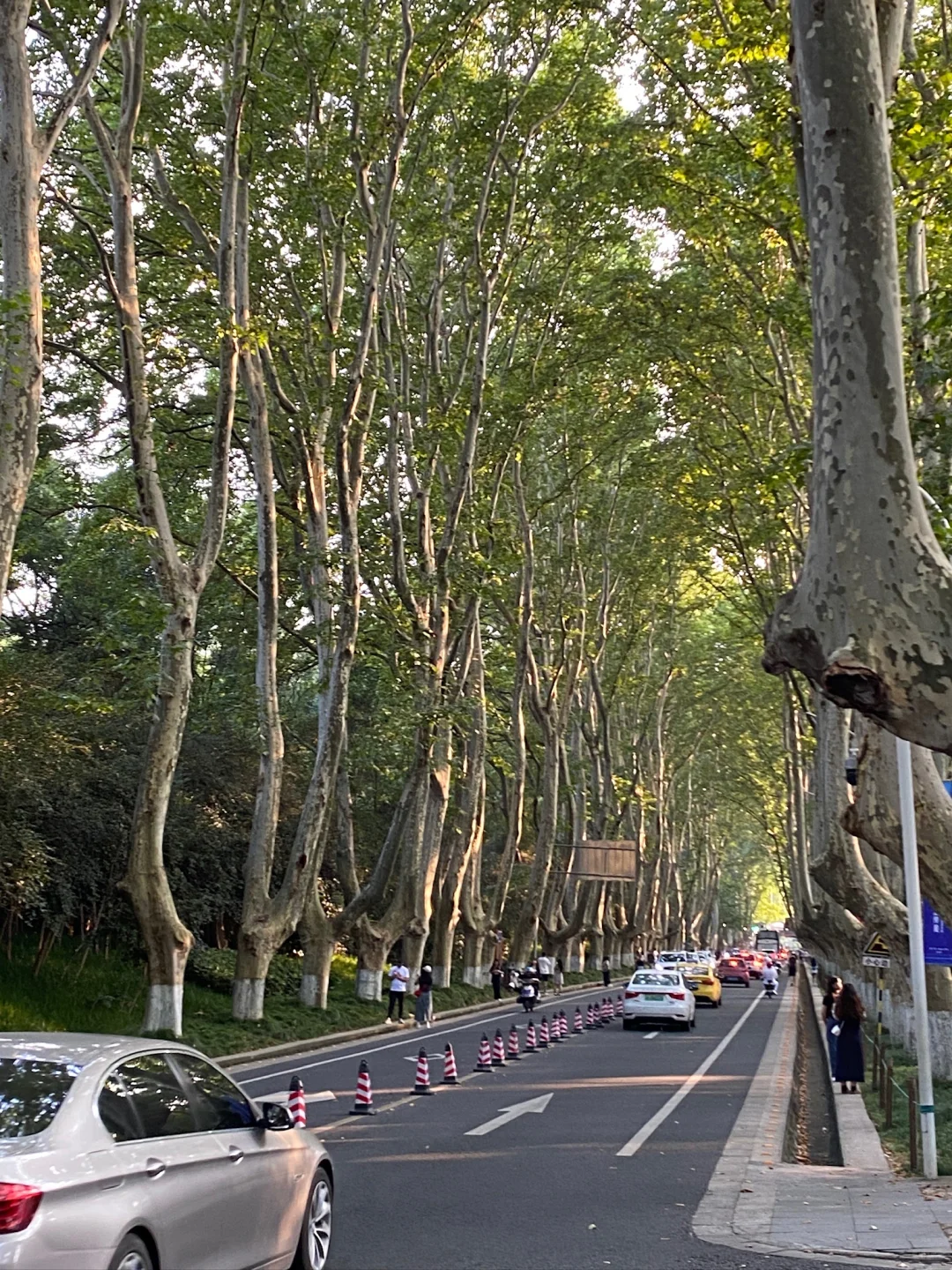 南京旅游攻略(中)