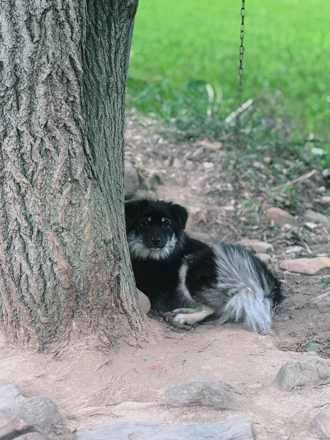 武汉驱车2小时,可徒步可玩水,两不耽误🤩