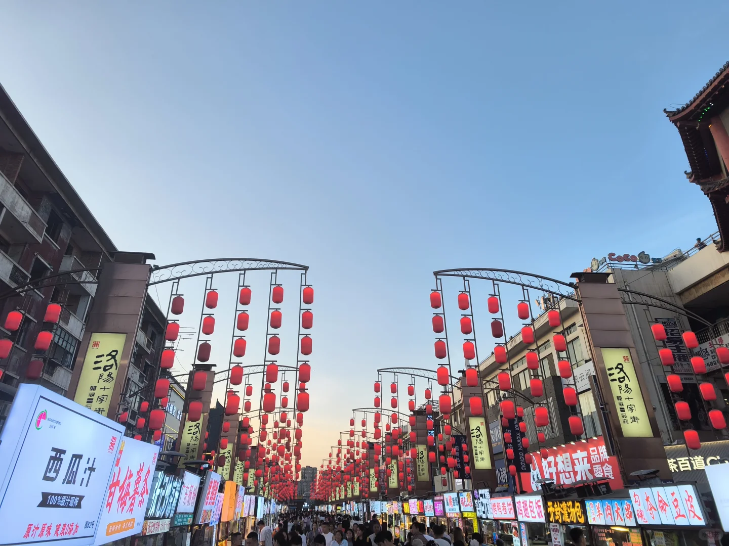 洛阳三天两夜游❗️别白跑本地人带你这么玩