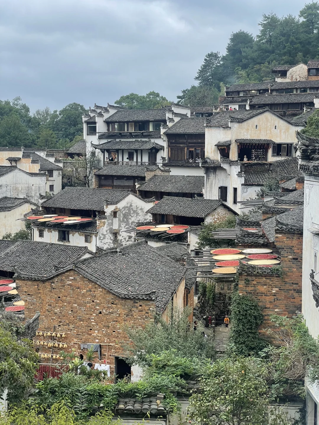 婺源实况无滤镜到底什么样