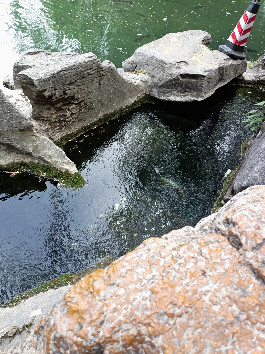 小城济南的1️⃣日游