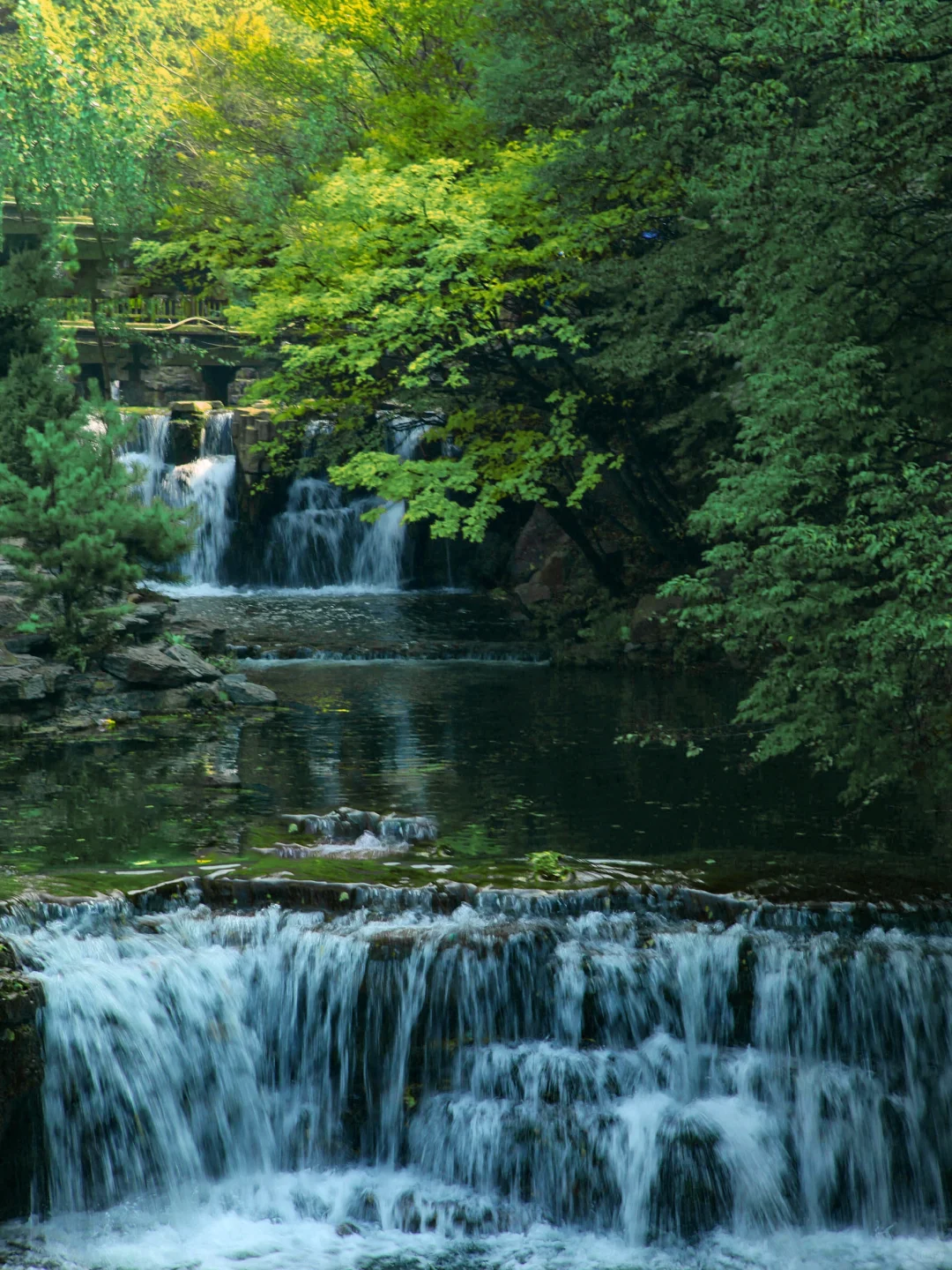 心动一万次!这才是夏日必游的人间仙境