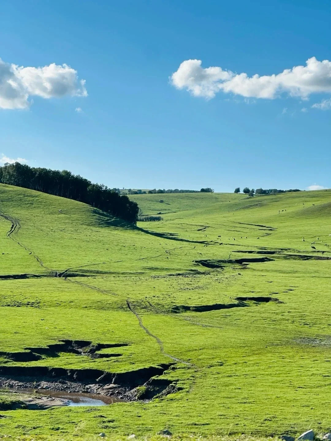 🌄赤峰旅游打卡地