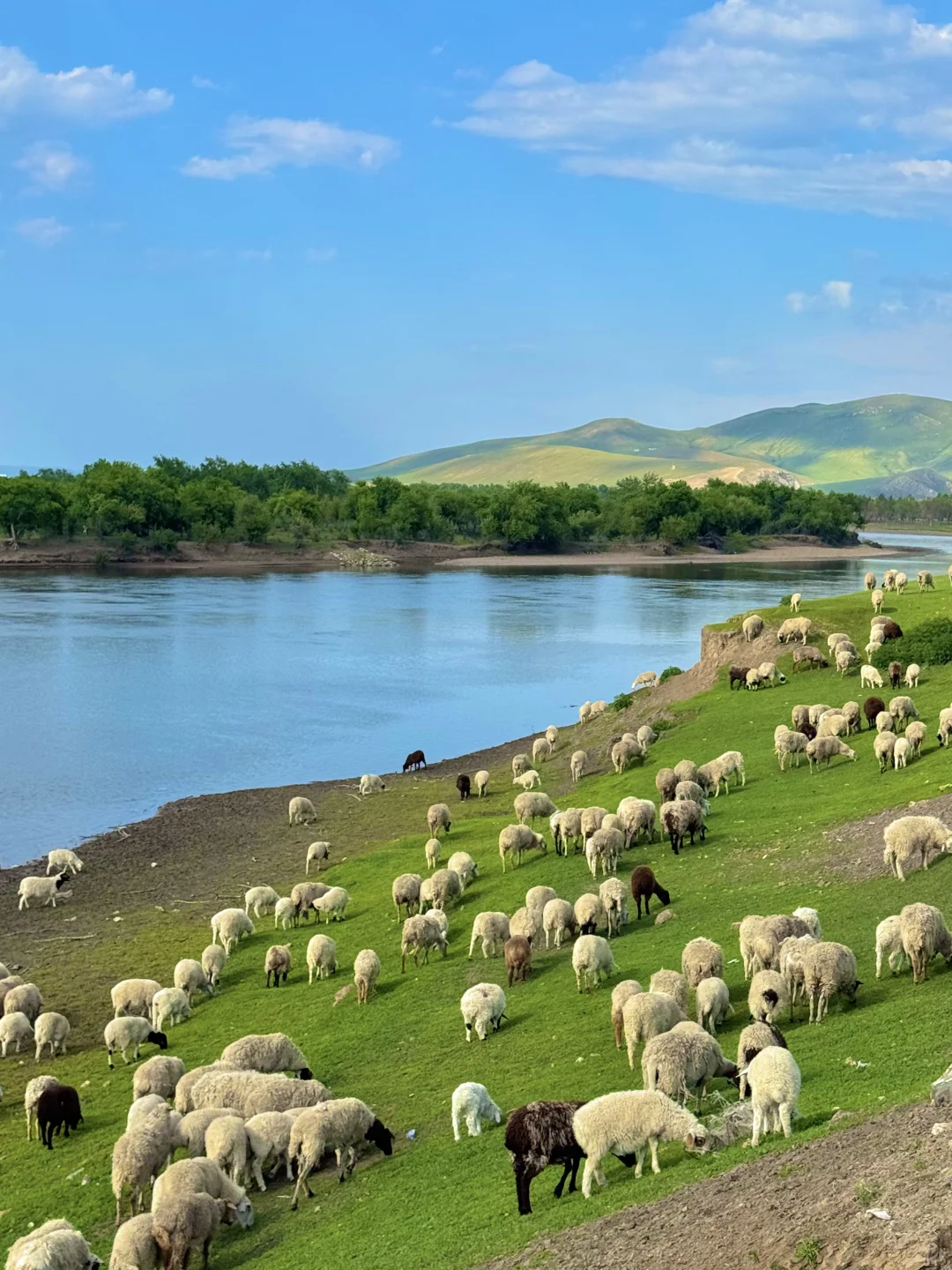 以为新疆够美了，直到我去了呼伦贝尔…