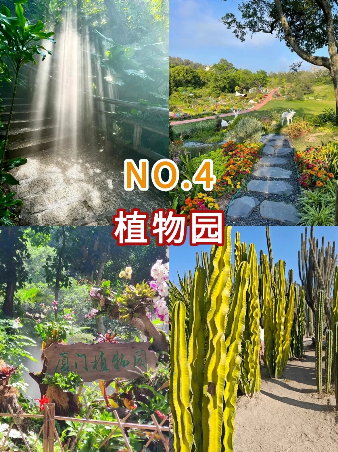 暑假厦门旅游必冲！9大景点玩到不想走