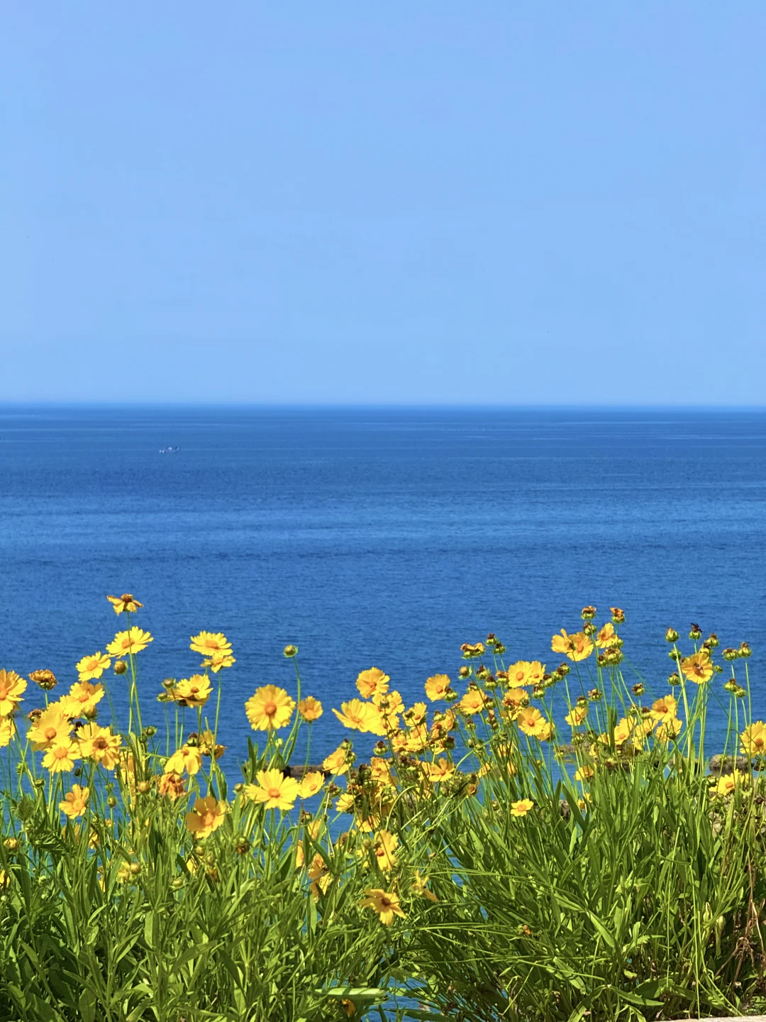 烟台旅游刚回！哭着发出18张live图😭